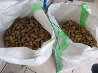 이정희님의 기타작물 · 자유게시판 작성글 사진