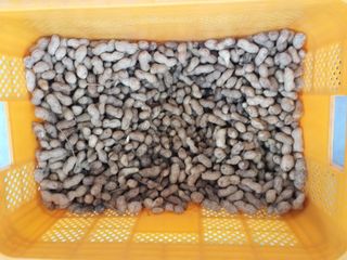 이정희님의 기타작물 · 자유게시판 작성글 사진