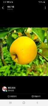 팜모닝 · 게시글 이미지