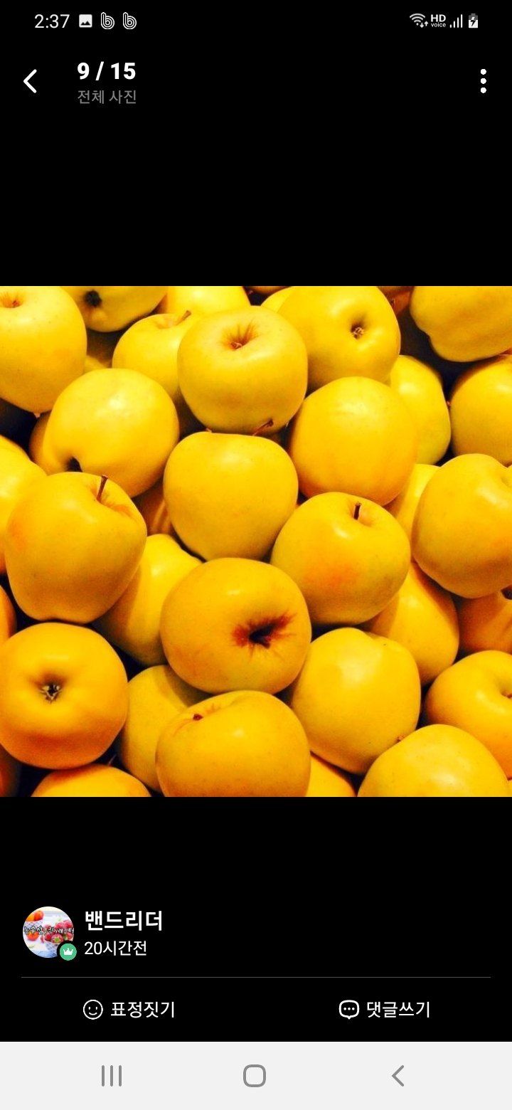 알 수 없음님의 장터 판매 상품 [시나노골드  가정용  햇   골드사과  3키로ㅡ5키로] 첨부 사진