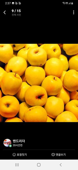 알 수 없음님의 작성글 사진