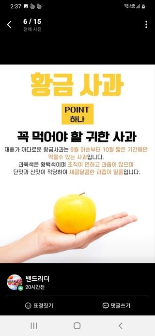 알 수 없음님의 작성글 사진