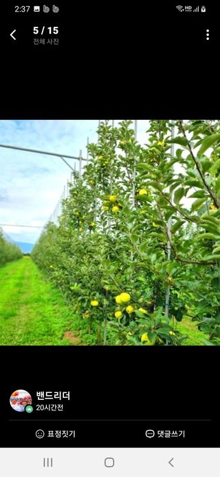알 수 없음님의 작성글 사진