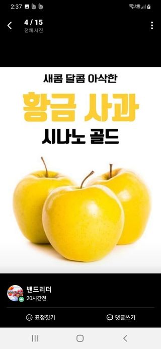 알 수 없음님의 작성글 사진