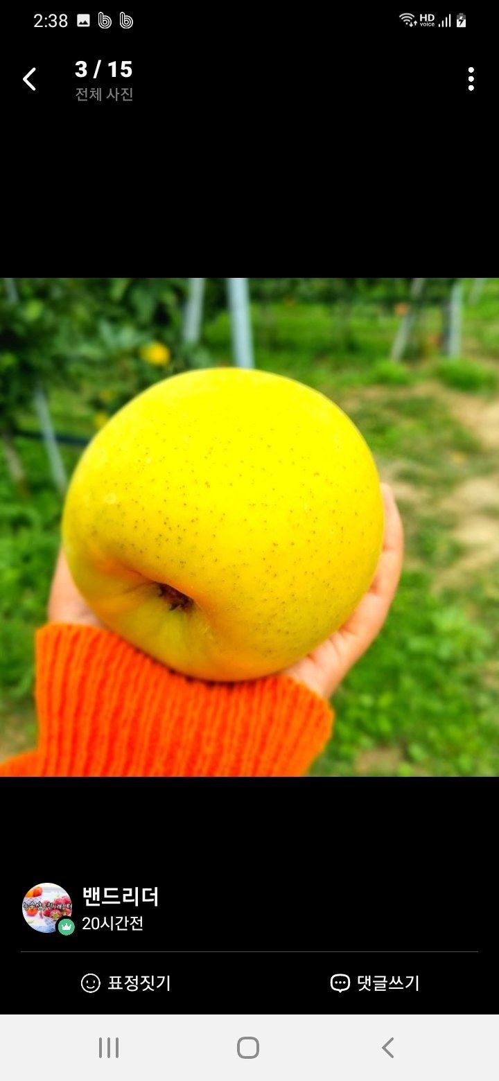 알 수 없음님의 장터 판매 상품 [시나노골드  가정용  햇   골드사과  3키로ㅡ5키로] 첨부 사진