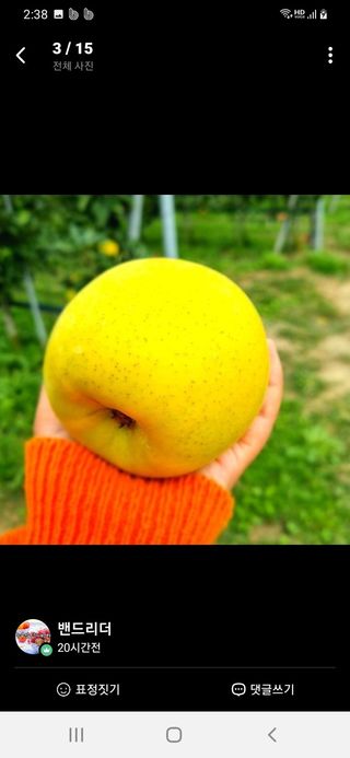 알 수 없음님의 작성글 사진