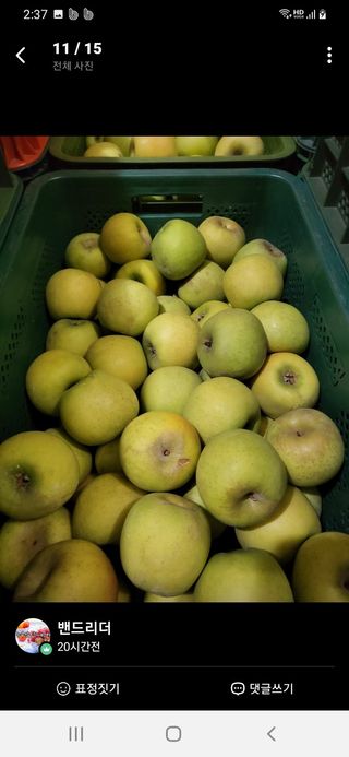 알 수 없음님의 작성글 사진