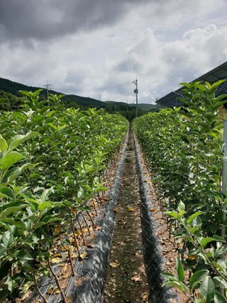 김화순님의 자유주제 · 자유게시판 작성글 사진