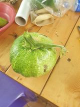 팜모닝 자유주제·자유게시판 게시글 이미지