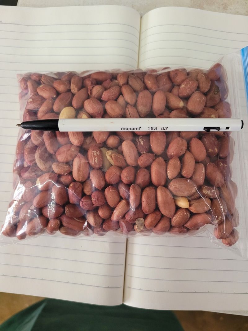 윤희순님의 장터 판매 상품 [피땅콩 1키로, 볶음땅콩 450g] 첨부 사진