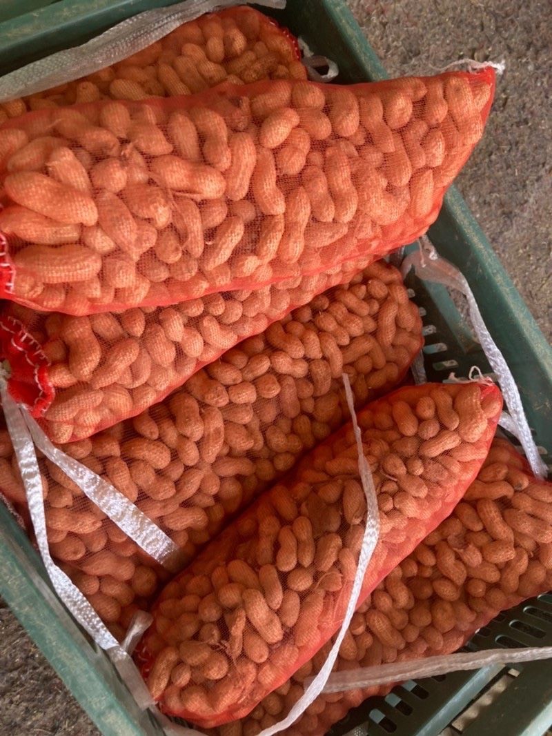 장터 상품 [피땅콩 1키로, 볶음땅콩 450g] 썸네일