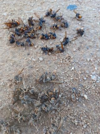 결단이님의 기타작물 · 자유게시판 작성글 사진