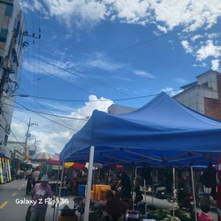 짱순이연속8월출석왕님의 오늘의 시장을 알려주세요 · 참여글 작성글 사진