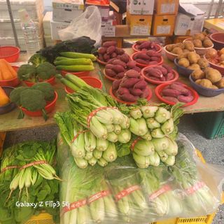 짱순이연속8월출석왕님의 오늘의 시장을 알려주세요 · 참여글 작성글 사진