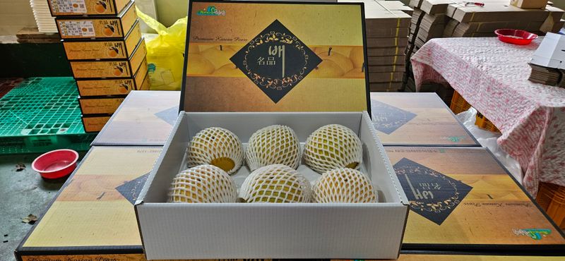 장터 상품 [화산배 5kg, 화산배 7.5kg] 썸네일