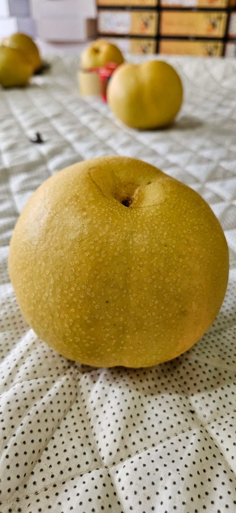 하지훈님의 장터 판매 상품 [화산배 5kg, 화산배 7.5kg] 첨부 사진