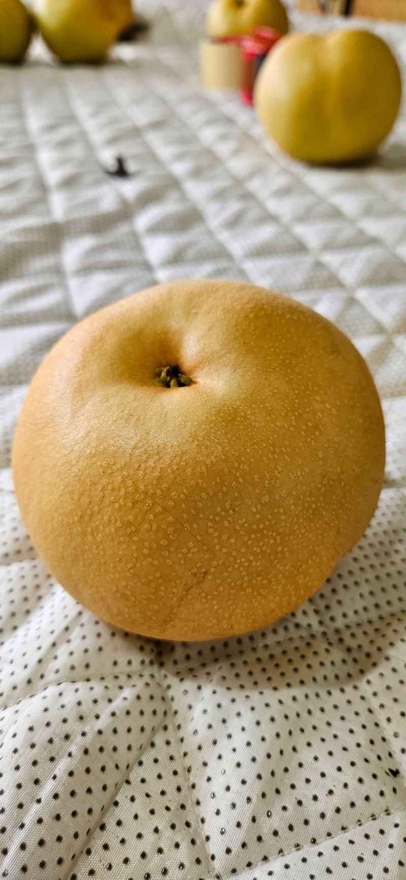 하지훈님의 장터 판매 상품 [화산배 5kg, 화산배 7.5kg] 첨부 사진