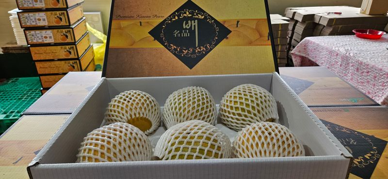 하지훈님의 장터 판매 상품 [화산배 5kg, 화산배 7.5kg] 첨부 사진