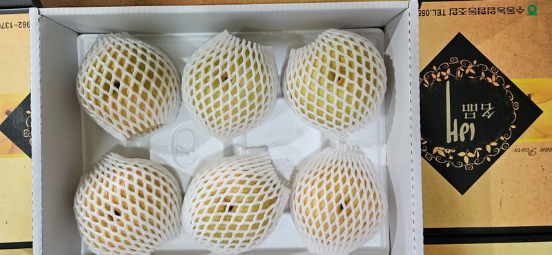 하지훈님의 장터 판매 상품 [화산배 5kg, 화산배 7.5kg] 첨부 사진