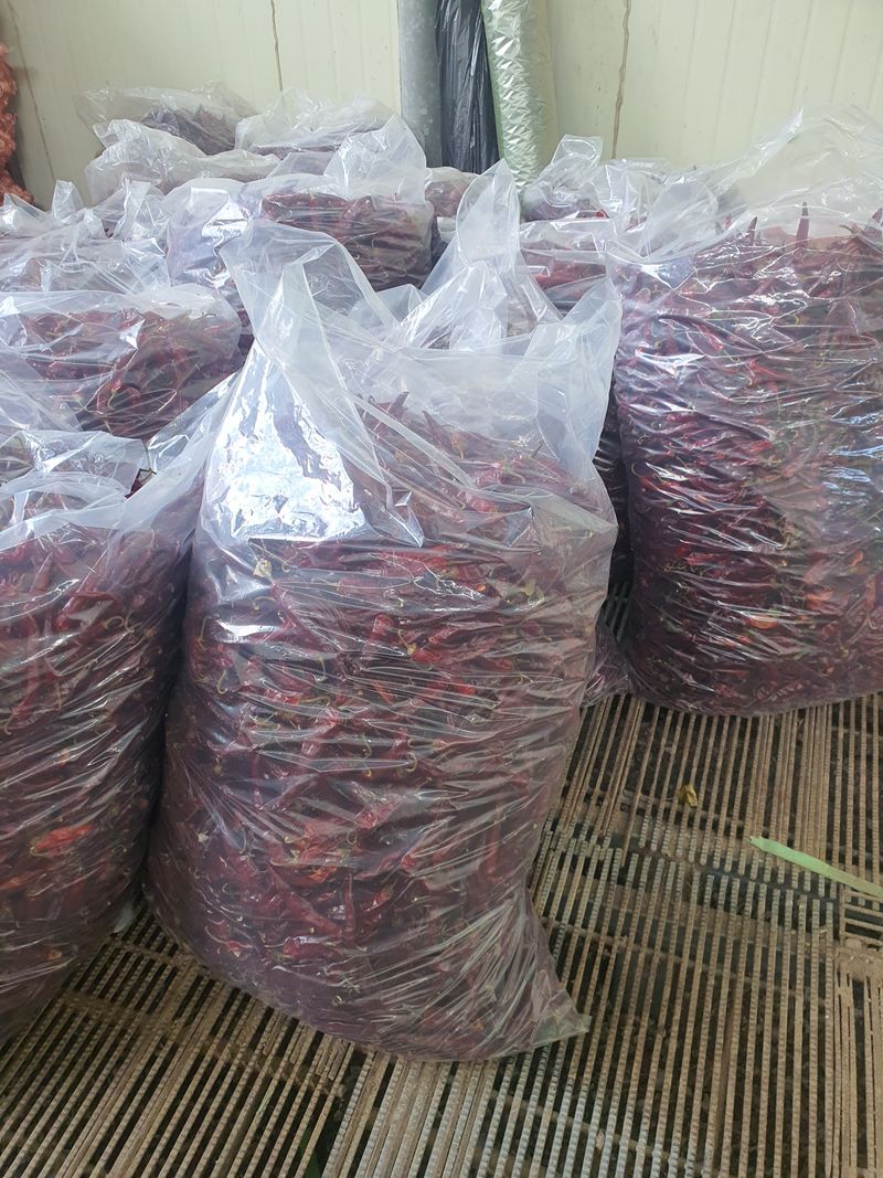 김영복님의 장터 판매 상품 [고추가루] 첨부 사진