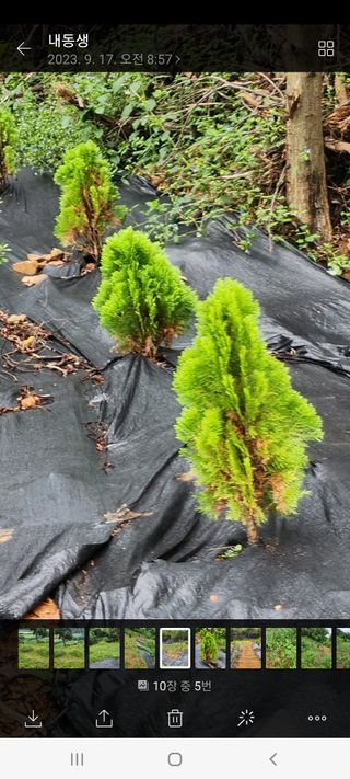 조인숙님의 자유주제 · 자유게시판 작성글 사진