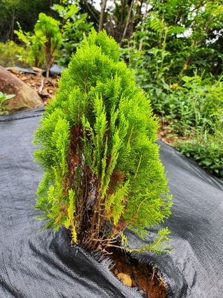 조인숙님의 자유주제 · 자유게시판 작성글 사진