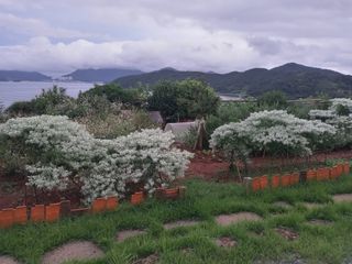 윤형곤님의 기타작물 · 자유게시판 작성글 사진