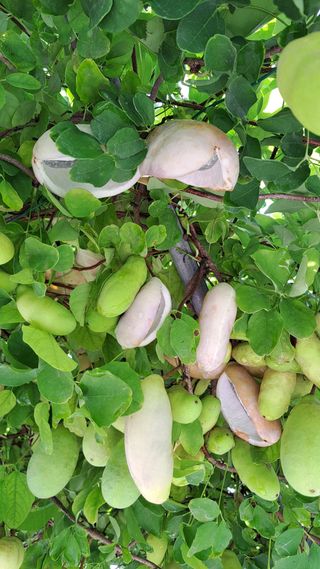 주윤발이님의 자유주제 · 자유게시판 작성글 사진