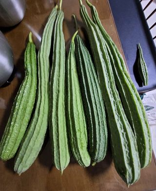 원빈님의 자유주제 · 자유게시판 작성글 사진