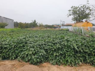 박명흠 님의 가을 농사계획 알려주세요🍁 · 참여글 작성글 사진