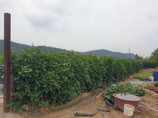 박명흠 님의 가을 농사계획 알려주세요🍁 · 참여글 작성글 사진