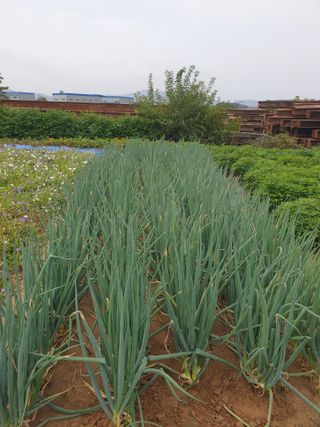 박명흠 님의 가을 농사계획 알려주세요🍁 · 참여글 작성글 사진