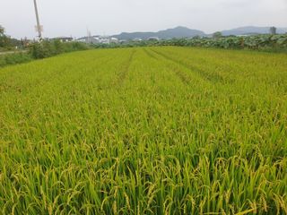 박명흠 님의 가을 농사계획 알려주세요🍁 · 참여글 작성글 사진