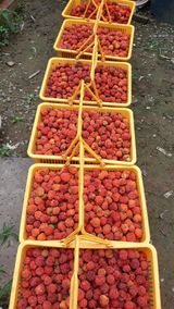 팜모닝 자유주제·칭찬해요 게시글 이미지