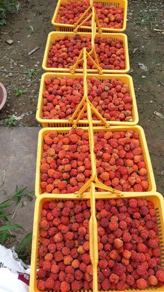 정상훈님의 자유주제 · 칭찬해요 작성글 사진