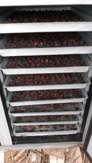 정상훈님의 자유주제 · 칭찬해요 작성글 사진