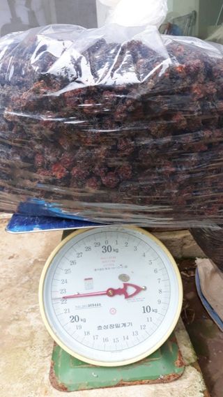 정상훈님의 자유주제 · 칭찬해요 작성글 사진