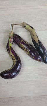 팜모닝 자유주제·자유게시판 게시글 이미지