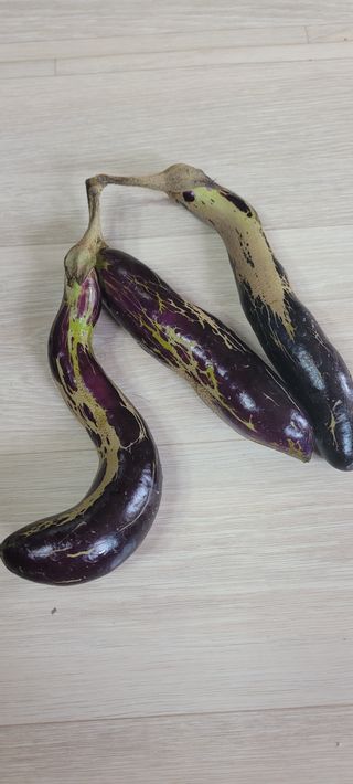 까마구님의 자유주제 · 자유게시판 작성글 사진