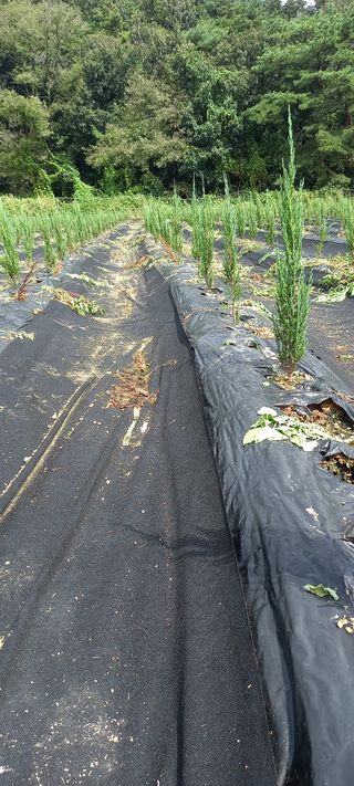 김대현(청솔)님의 기타작물 · 자유게시판 작성글 사진