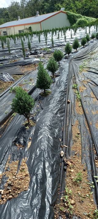 김대현(청솔)님의 기타작물 · 자유게시판 작성글 사진