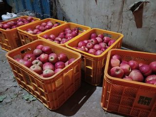 알 수 없음님의 우리동네 · 동네수다 작성글 사진