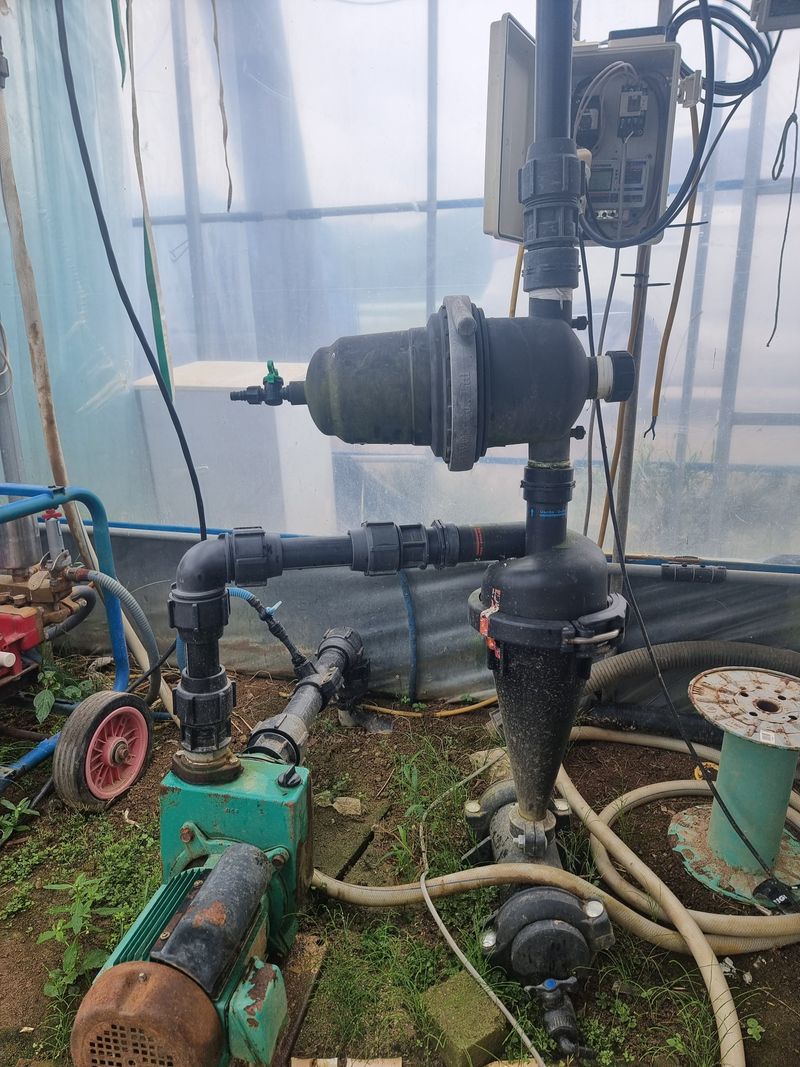 고추15559님의 장터 판매 상품 [샤인머스캣 대형하우스] 첨부 사진