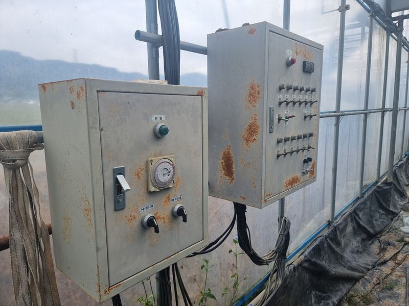 고추15559님의 장터 판매 상품 [샤인머스캣 대형하우스] 첨부 사진