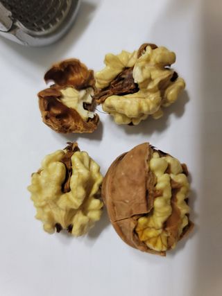 남효제님의 가을 농사계획 알려주세요🍁·참여글 작성글 사진