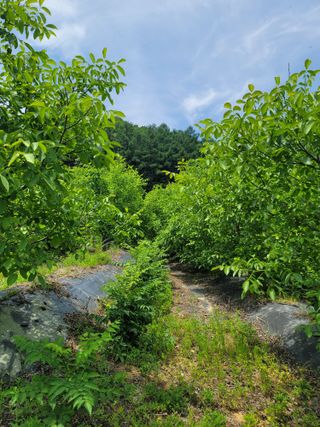 남효제님의 가을 농사계획 알려주세요🍁 · 참여글 작성글 사진