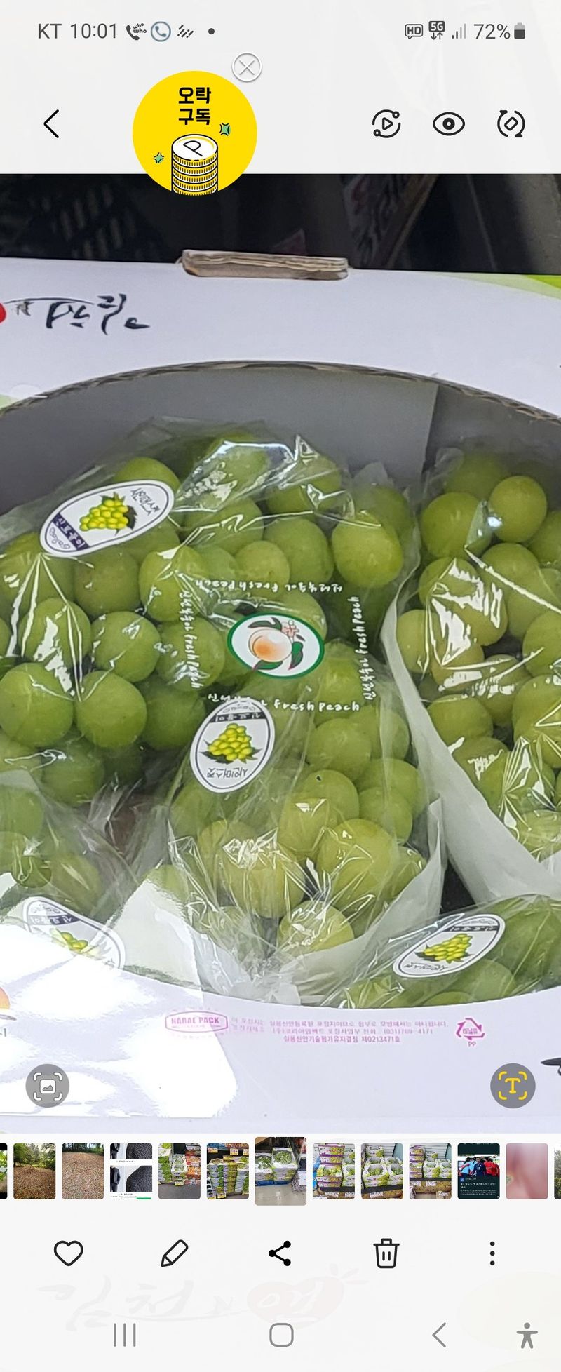 장터 상품 [샤인머스켓 추석 선물셋트2ㆍ4키로] 썸네일