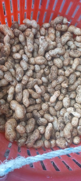 장만월님의 자유주제 · 자유게시판 작성글 사진