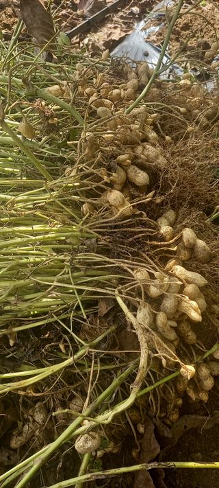 장만월님의 자유주제 · 자유게시판 작성글 사진