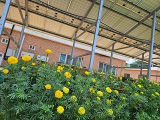 최선희님의 기타작물 · 자유게시판 작성글 사진